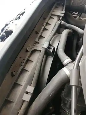 İkinci el araba yedek parçası Elektro Fan için MERCEDES-BENZ CLASE R (W251) OM642950 OEM IAM referansları   