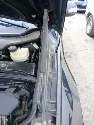 Автозапчастина б/у амортизатор капота для mercedes-benz clase r (w251) om642950 посилання на oem iam 