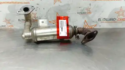 Автозапчасти б/у ОХЛАДИТЕЛЬ РОГ за FORD FOCUS BERLINA (CAP)  ссылки OEM IAM 4M5Q9F464B1C  