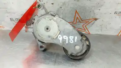 Recambio de automóvil de segunda mano de TENSOR CORREA AUXILIAR para PEUGEOT PARTNER TEPEE D-9H06 referencias OEM IAM 846143  