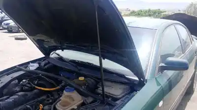 Pezzo di ricambio per auto di seconda mano Ammortizzatore Cofano per VOLKSWAGEN PASSAT B5 (3B2) 1.9 TDI Riferimenti OEM IAM   