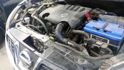 Pezzo di ricambio per auto di seconda mano INTERCOOLER per NISSAN QASHQAI (J10) M9R832 Riferimenti OEM IAM   