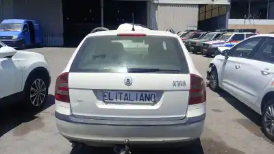 Автозапчасти б/у ЗАДНЯЯ ДВЕРЬ за SKODA OCTAVIA II COMBI (1Z5)  ссылки OEM IAM   