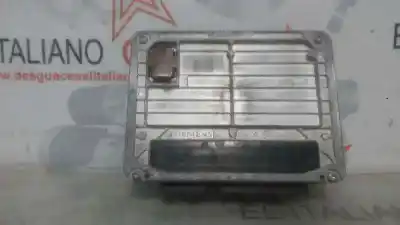 Pezzo di ricambio per auto di seconda mano centralina motore per seat toledo ii (1m2) 1.9 tdi riferimenti oem iam 06a906019bf  