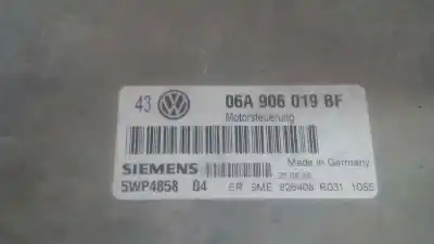 Pezzo di ricambio per auto di seconda mano centralina motore per seat toledo ii (1m2) 1.9 tdi riferimenti oem iam 06a906019bf  