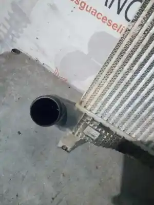 Pezzo di ricambio per auto di seconda mano intercooler per opel antara z22d1 riferimenti oem iam 42348293  