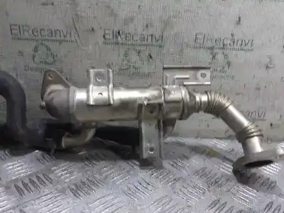 Second-hand car spare part EGR COOLER for SEAT IBIZA (6L1)  OEM IAM references 038131513K  V300