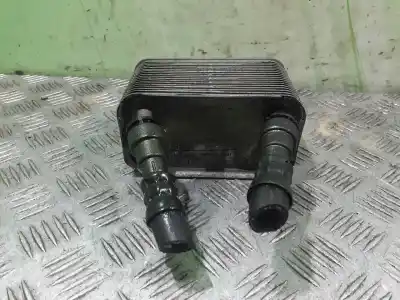 Pezzo di ricambio per auto di seconda mano radiatore olio motore per bmw x5 (e53) 3.0i riferimenti oem iam 