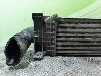 Peça sobressalente para automóvel em segunda mão intercooler por ford focus berlina (cap) ambiente (d) referências oem iam   