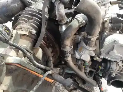 Автозапчасти б/у полный двигатель за fiat stilo multi wagon (192_) 1.9 d multijet ссылки oem iam 192a8000  int.c-2