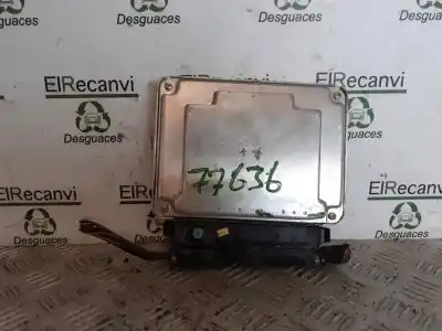 Pezzo di ricambio per auto di seconda mano  per SEAT LEON (1M1)  Riferimenti OEM IAM 038906012FK 28SA5092 0281010683