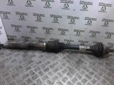 Pezzo di ricambio per auto di seconda mano trasmissione anteriore destra per ford focus c-max (cap) trend (d) riferimenti oem iam 3m513b436  