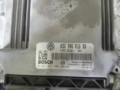 Pezzo di ricambio per auto di seconda mano  per VOLKSWAGEN TOURAN (1T2)  Riferimenti OEM IAM 03G906016BQ  1039S0627514690123