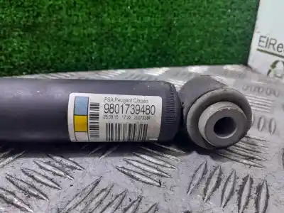 Pezzo di ricambio per auto di seconda mano ammortizzatore posteriore sinistro per citroen c3 collection riferimenti oem iam 9801739480  