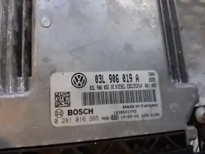 Pezzo di ricambio per auto di seconda mano  per SEAT EXEO ST (3R5) (2009>)  Riferimenti OEM IAM 03L906019A  0281016365