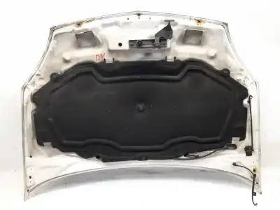 Peça sobressalente para automóvel em segunda mão capot por renault clio ii (bb_, cb_) 1.5 dci (b/cb07) referências oem iam   