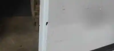 Second-hand car spare part left sliding side door for ford tourneo connect (tc7) kombi b. corta (2006->) oem iam references    Second-hand car spare part left sliding side door for ford tourneo connect (tc7) kombi b. corta (2006->) oem iam references