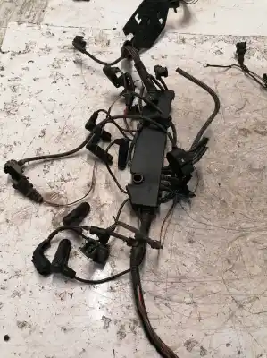 Peça sobressalente para automóvel em segunda mão fio por bmw serie 7 (e65/e66) 730d referências oem iam   