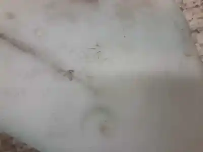 Автозапчастина б/у чистий депозит для ford tourneo connect (tc7) familiar посилання на oem iam 2t1417618af  2t1417b613af Автозапчастина б/у чистий депозит для ford tourneo connect (tc7) familiar посилання на oem iam 2t1417618af  2t1417b613af