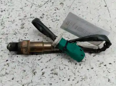 Pezzo di ricambio per auto di seconda mano sonda lambda per ford focus berlina (cap) ambiente (d) riferimenti oem iam 