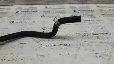 Автозапчасти б/у рукав за ford focus lim. (cb4) titanium ссылки oem iam   