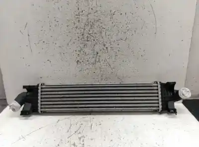 Peça sobressalente para automóvel em segunda mão intercooler por ford focus berlina (cap) ambiente (d) referências oem iam 
