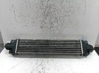 Peça sobressalente para automóvel em segunda mão intercooler por ford focus berlina (cap) ambiente (d) referências oem iam   