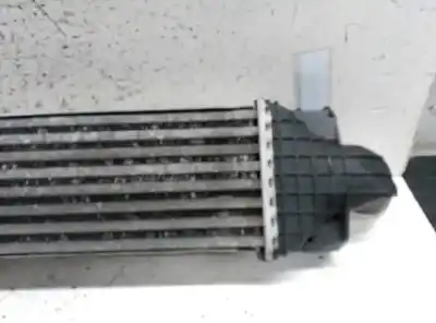 Peça sobressalente para automóvel em segunda mão intercooler por ford focus berlina (cap) ambiente (d) referências oem iam   
