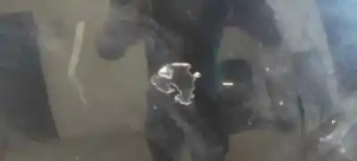 Peça sobressalente para automóvel em segunda mão capot por bmw serie 3 berlina (e46) 318d referências oem iam   