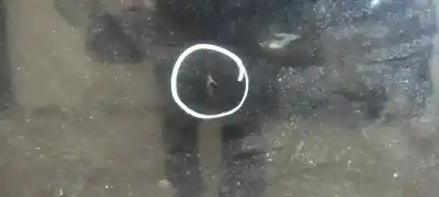 Peça sobressalente para automóvel em segunda mão capot por bmw serie 3 berlina (e46) 318d referências oem iam   