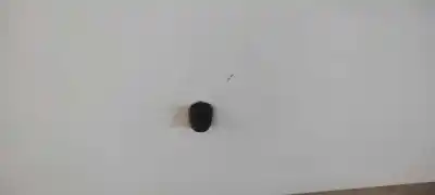 Peça sobressalente para automóvel em segunda mão capot por ford focus lim. (cb4) trend referências oem iam   