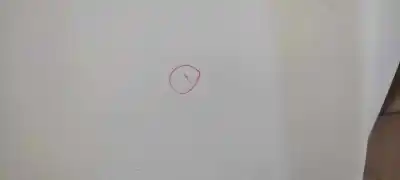 Peça sobressalente para automóvel em segunda mão capot por ford focus lim. (cb4) trend referências oem iam   