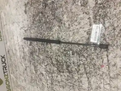 Pezzo di ricambio per auto di seconda mano AMMORTIZZATORI BAULE / PORTE per HYUNDAI GETZ (TB)  Riferimenti OEM IAM 8427RJ  370 N