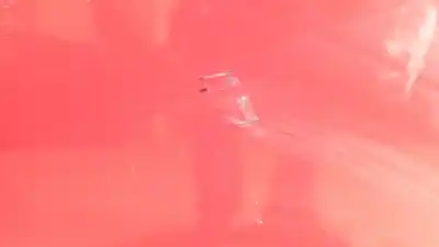 İkinci el araba yedek parçası arka sag kapi için nissan note (e11e) acenta oem iam referansları   