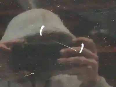 Second-hand car spare part left front door for jeep compass (mk49) 2.2 crd oem iam references   