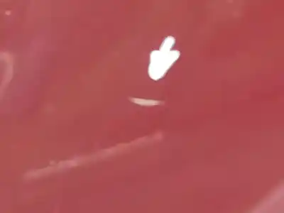 Pezzo di ricambio per auto di seconda mano parafango anteriore sinistro per citroen c3 1.4 hdi exclusive riferimenti oem iam   