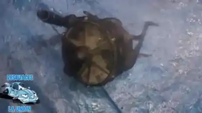 Peça sobressalente para automóvel em segunda mão motor de sofagem por bmw x5 (e53) 4.4i automático referências oem iam 00t033