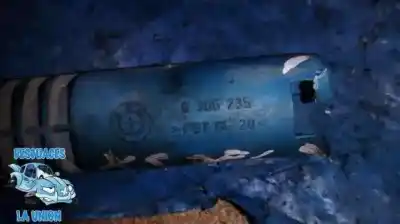 Peça sobressalente para automóvel em segunda mão sensor por bmw x5 (e53) 4.4i automático referências oem iam 8366235  