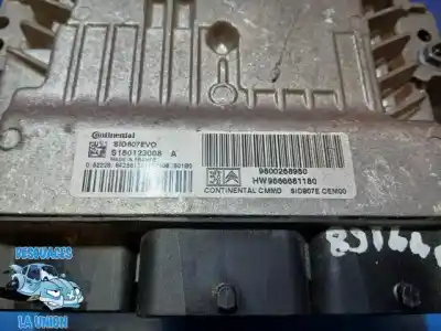 Peça sobressalente para automóvel em segunda mão centralina de motor uce por peugeot 5008 allure referências oem iam 9800268980