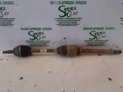 Pezzo di ricambio per auto di seconda mano TRASMISSIONE ANTERIORE DESTRA per RENAULT KANGOO I (F/KC0)  Riferimenti OEM IAM 8200535802  