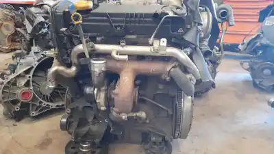 Gebrauchtes Autoersatzteil motor explodiert zum opel vectra c (z02) 2.0 dti 16v (f69) oem-iam-referenzen z19dt  