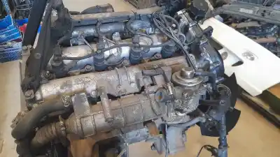 Pezzo di ricambio per auto di seconda mano MOTORE ESPLOSO per IVECO IVECO DAILY IV PLATFORM/CHASSIS 70C17 IVECO DAILY IV Platform/Chassis 70C17. 70C17 /P [2006 - ] Platform/Chassis Riferimenti OEM IAM F1CE0481H  