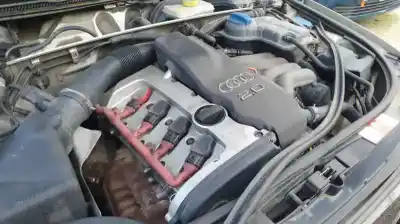 Pezzo di ricambio per auto di seconda mano motore completo per audi a4 berlina (8e) 2.0 20v cat (alt) riferimenti oem iam alt  