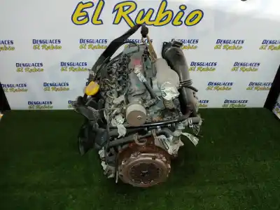 Pezzo di ricambio per auto di seconda mano motore completo per renault scenic rx4 (ja0) 1.9 dci sportway riferimenti oem iam f9qk748  f9q748