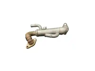 Автозапчасти б/у охладитель рог за SEAT IBIZA (6L1) Junior ссылки OEM IAM 045131513P  045131513L