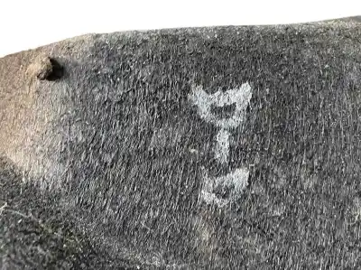 Second-hand car spare part front right wheel arch for bmw mini (r56) 1.6 16v diesel cat oem iam references 51717207578  7207578