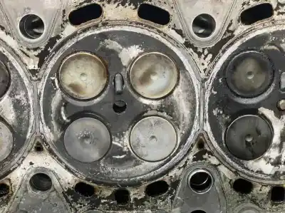 Peça sobressalente para automóvel em segunda mão cabeça / culatra por bmw serie 5 touring (e39) 530d referências oem iam 22468759  11127794920