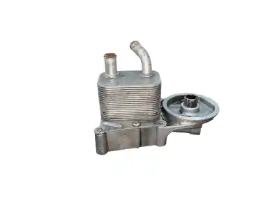 Peça sobressalente para automóvel em segunda mão Radiador De óleo Do Motor por FORD FOCUS BERLINA (CAK) Ghia Referências OEM IAM 1S4Q6A642AB 2M5Q6B624BD 2M5Q6B624BB