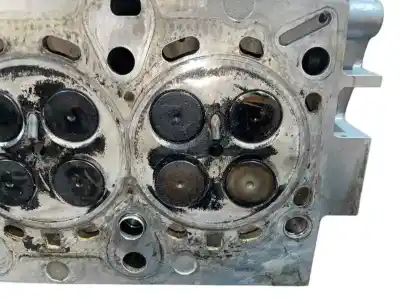 Peça sobressalente para automóvel em segunda mão cabeça / culatra por bmw serie 3 berlina (e46) 2.0 16v diesel cat referências oem iam 22466019 7786361 11127786361