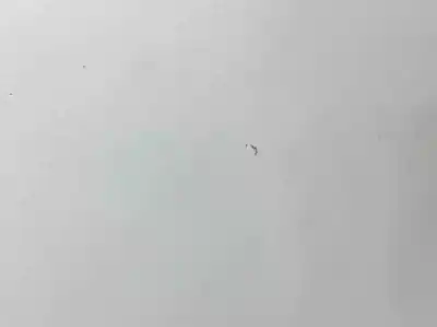 Автозапчастина б/у двері задні ліві для mazda cx-7 (er) 2.2 turbodiesel cat посилання на oem iam egy17302xp  egy1-73-02xp